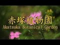 板橋区立赤塚植物園【東京都板橋区】 の動画、YouTube動画。