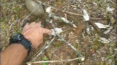Spring Snare Trap with Improved Triangle Trigger! How To