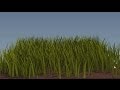 Создание травы в Blender / Grass in Blender