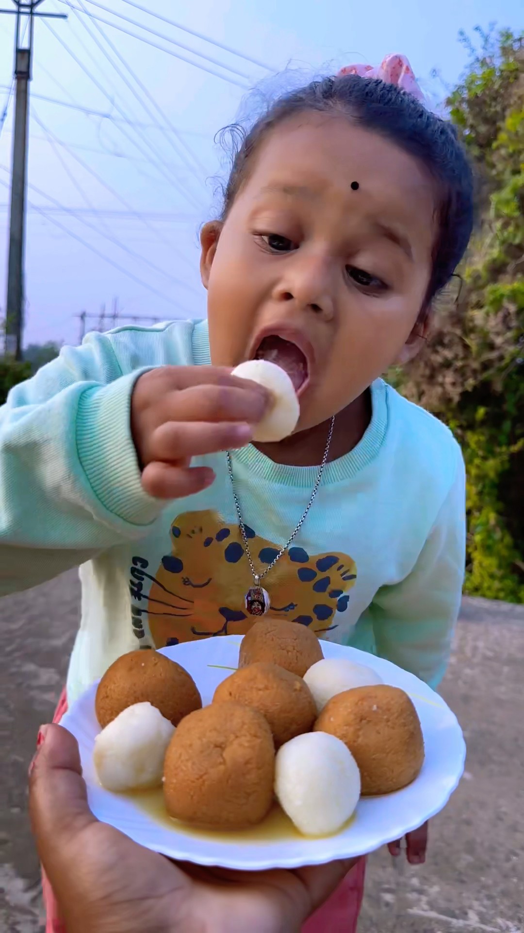 Aapki Favourite Rasgulla Konsi Hai??❤️ #mistihappylifestyle #shortsviral #shorts #viral #rasgulla