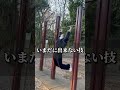 教えてくれる人募集wwww #shorts