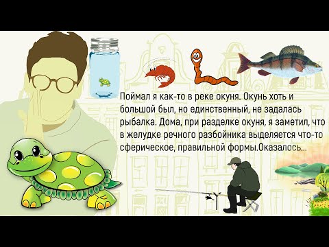 Видео: 🏠В Тайланде Случилось Цунами.Сборник Новых ,Смешных До Слёз Историй Из Жизни ,Для Супер Настроения!