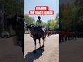 BAND OF THE GRENADIER GUARDS WITH THE KING S GUARD 1ST BATTALION GRENADIER GUARDS LONDON рџ ‍в пёЏ Fyp BAND OF THE GRENADIER GUARDS WITH THE KING S GUARD 1ST BATTALION GRENADIER GUARDS LONDON рџ ‍в пёЏ Fyp