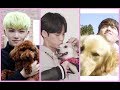 🐶Seventeen With Dogs - Cute Compilation🐶