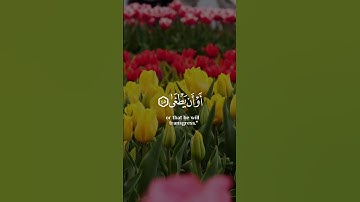 شريف مصطفى سورة طه اجمل حالات واتس اب دينية 🎧😌