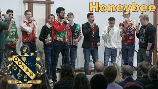 Honeybee - A Cappella Cover | OOTDH