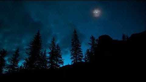 تلاوه عذبه وصوت جميل تُرقق القلوب | القارئ أشرف اللحجي