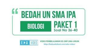 BEDAH UN SMA IPA BIOLOGI PAKET 1 (Soal No 36-40)
