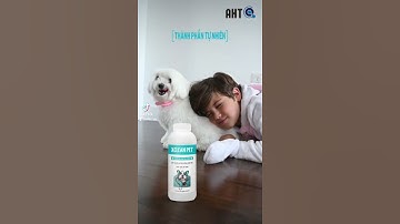 NƯỚC LAU SÀN KHỬ MÙI HÔI THÚ CƯNG, KHỬ MÙI NƯỚC TIỂU CHÓ MÈO XCLEAN PET👉 https://shope.ee/5AGeXYFWzq