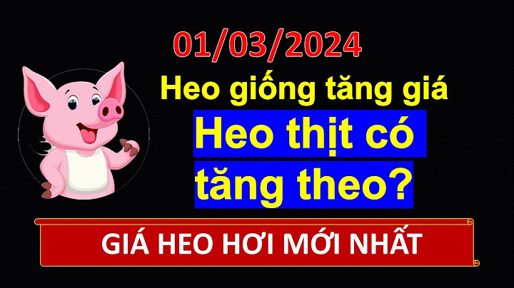 Giá lợn giống hôm nay bao nhiêu năm 2024