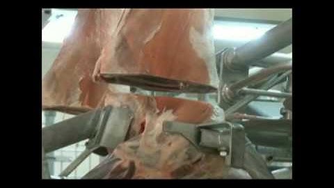 Scott - Meat Processing Automation Made Easy