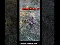 Маша Какая-то, баба😜 #бабамашакакаято #какаятобаба #психоделики