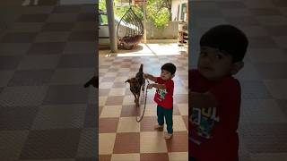 My baby got this — doggo under control!\