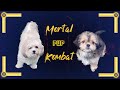 Mortal Kombat - Sumo Dog Style - Tucker vs Luna