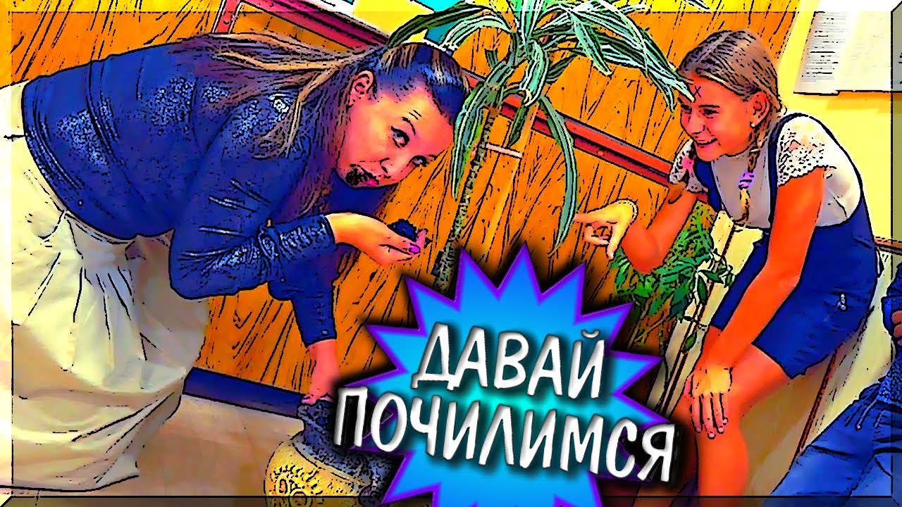 деньги или желание игра деньги или желание игра