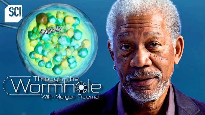 What Makes a Human? | Through the Wormhole | Science Channel