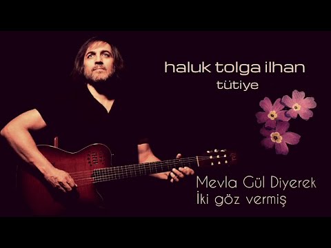 Haluk Tolga İlhan - Mevla Gül Diyerek İki Göz Vermiş - Tütiye