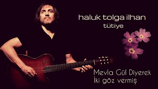 Haluk Tolga İlhan - Mevla Gül Diyerek İki Göz Vermiş - Tütiye Resimi