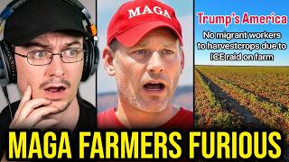 MAGA Farmers BEG For Workers After MASS Deportations - BANKRUPTCY HIT THEM HARD