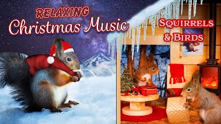 Christmas In Squirrel Village  | Relaxing Christmas Music ( 1 Hour )