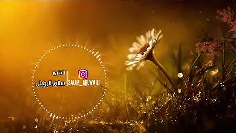 تلاوة هادئه تريح القلب والنفس آمَنَ الرَّسُولُ بِمَا أُنزِلَ إليه القاريء سالم الرويلي360P