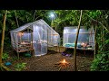 Camping membangun rumah kaca yg indah dan memancing mencari makan dari tanaman hutan belantara