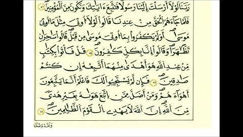 سورة القصص - الشيخ علي الحذيفي - رواية قالون