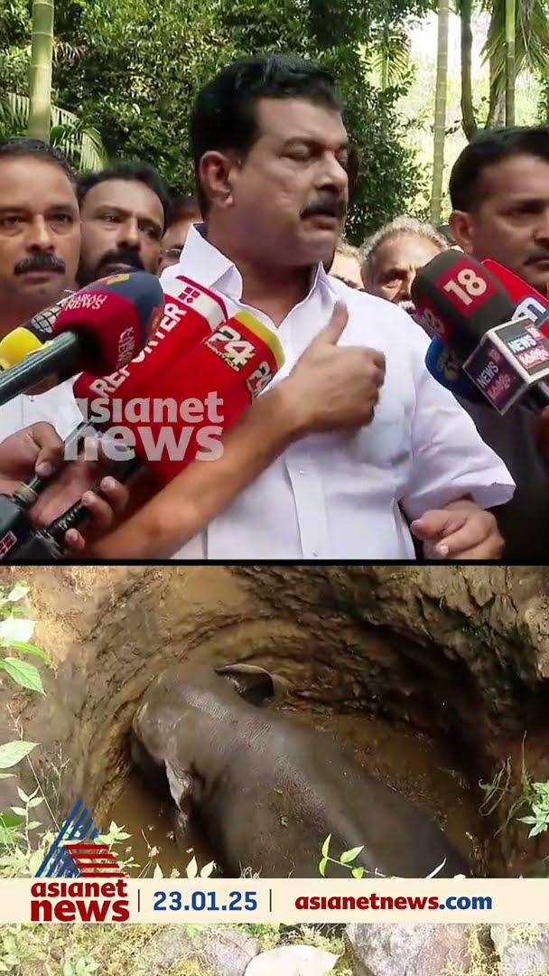 'ആനയെ വെടിവച്ച് കൊല്ലണം': മനുഷ്യർക്ക് ജീവിക്കണമെന്ന്  പി.വി അൻവർ
