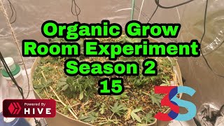 Organic Grow Room Living Soil Experiment Season 2 #15