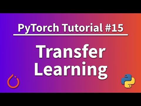 PyTorch Tutorial 15 – Transfer Learning