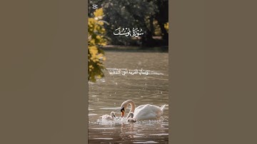 #القرآن_الكريم√قالوا ان يسرق فقد سرق اخ له من قبل√القارئ عبدالله الخلف#quran_kareem#كرومات_قرآن