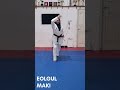 Materi Sabuk Putih: Eolgul Maki 🥋