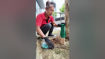 How To Install Termite In-Ground Bait Station?