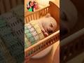 Eu tô vendo viu...#viraliza #viral #shortvideo #fy #doglove #dog #dogs #shorts #cute #miniature