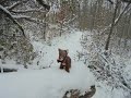 Rudolph in Cuyahoga Valley