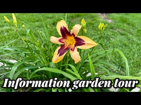 Informational plant and garden tour
