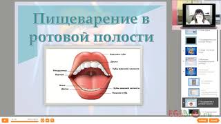 Пищеварение. Пища. Ротовая полость. Желудок.Видеоуроки биологии на egebio.ru Пищеварение. Пища. Ротовая полость. Желудок.Видеоуроки биологии на egebio.ru