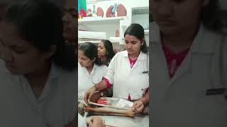 || Human Skeleton || Project Based Learning #anatomy #skeleton #anatomyshorts #shortsviral #shorts || Human Skeleton || Project Based Learning #anatomy #skeleton #anatomyshorts #shortsviral #shorts