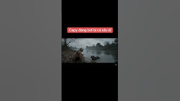 capy đi bơi bị cá sấu dí #baby #capybara #aivideo #xuhuongyoutube