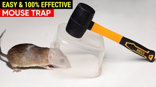 Best & Easy Mouse Trap Bucket - Diy Mouse Trap - Rat Trap Homemade