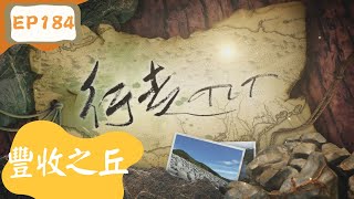 【行走TIT】第184集豐收之丘| 南投縣信義鄉的「豐丘村」 