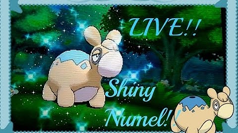 [LIVE!!] Shiny Numel in Horde Encounter in Pokémon Omega Ruby!