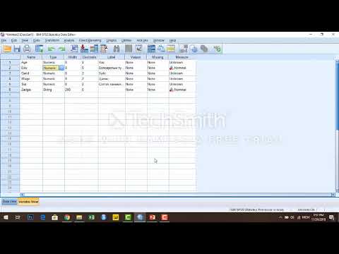 Se1Ep2: SPSS программ дээр өгөгдөл хэрхэн оруулах вэ? (Enter data and define variables in SPSS )