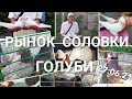 Рынок Соловки (Голуби) 27.06.21 Solovki Market