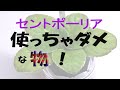 セントポーリアの栽培で、使ってはならない用土内容