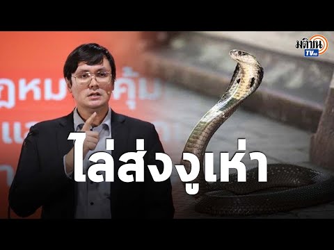 "โรม" ตะเพิดงูเห่าพ้นก้าวไกล ไม่มีคำว่าจากด้วยดีเป็นการทรยศประชาชน : Matichon TV