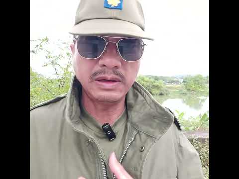 Video Vietnam War - M65 Field ( Jacket ) ( Philaket ) ( áo... - youtube