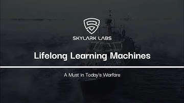 Skylark Labs -  Lifelong Learning Machines