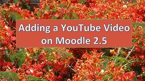 Adding Youtube Videos to Moodle 2.5