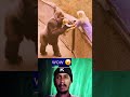 Ethiopianmusic Mezmur Omg Dr Ethio Adis Ethiopian Wow Ethiopia Ethiopianmusic Mezmur Omg Dr Ethio Adis Ethiopian Wow Ethiopia